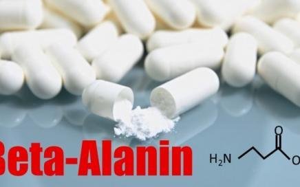 Beta-Alanin - Wirkung, Nebenwirkungen und die richtige Einnahme