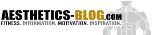 Die besten Fitness-Blogs - aesthetics-blog-logo