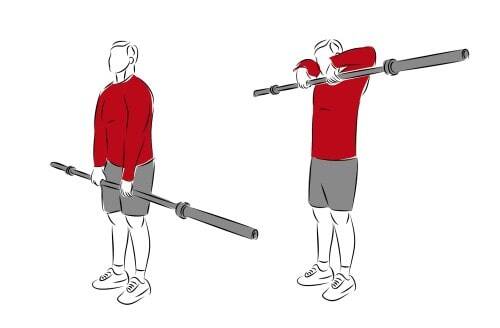 Aufrechtes Rudern - eine der besten Langhantel-Übungen für Schultern und Nacken